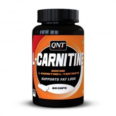 L-CARNITINE 500MG